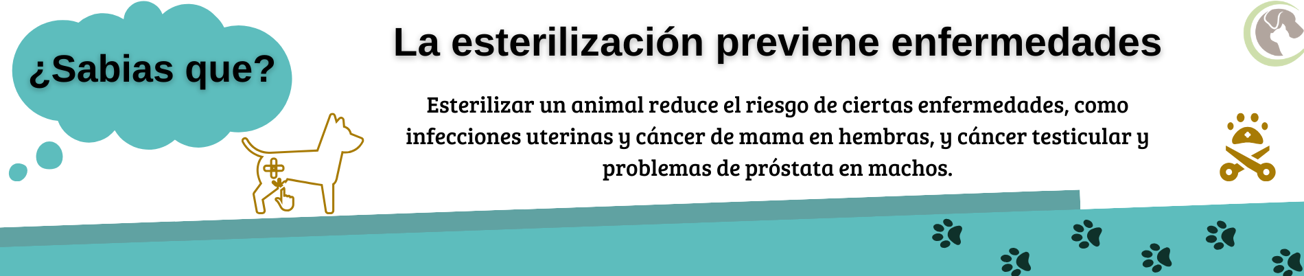 Esterilizacion